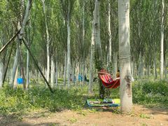 -东郊湿地公园