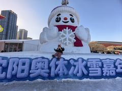 -沈阳奥体冰雪嘉年华