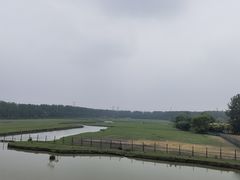 -溱湖国家湿地公园