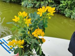 -番禺大夫山森林公园