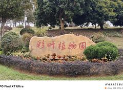-东莞植物园