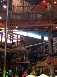 -卡通尼·Safari非洲探索乐园·生日会(金桥国际商业广场店)