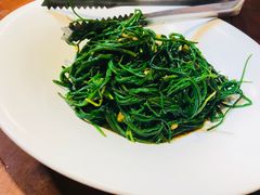 -蒙古大营(朝阳公园店)