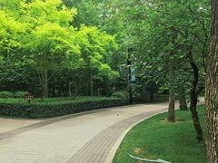 -迎泽公园