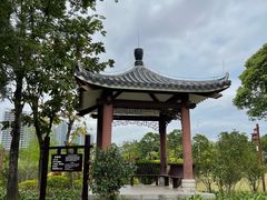 -大亚湾红树林城市湿地公园