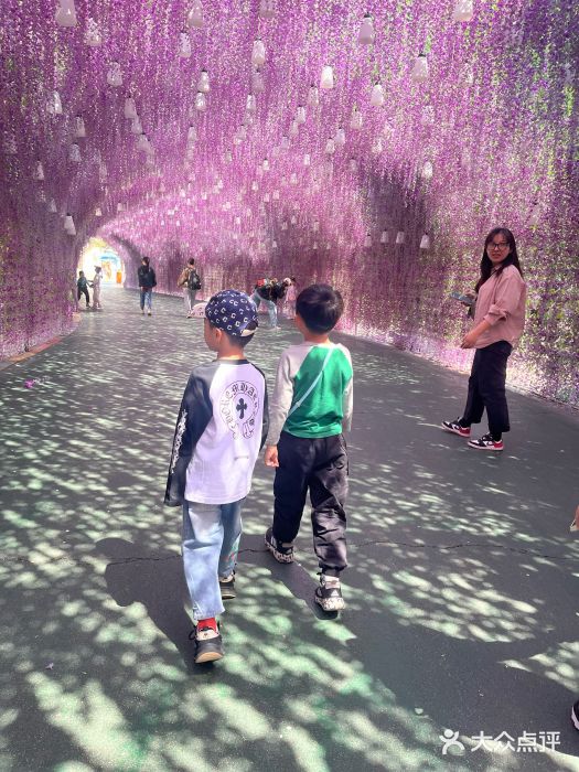 沈阳方特欢乐世界图片