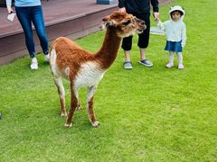 -太阳岛旅游度假区