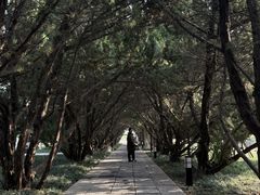 -洛阳古墓博物馆