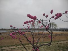 -绿堤公园