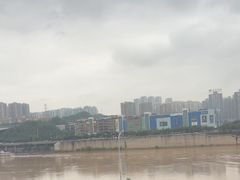 -李子坝梁山鸡(李子坝大鸡哥店)