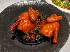 -许家菜(DT51店)