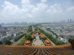 -黄鹤楼公园(黄鹤楼)