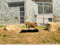 -南京珍珠泉风景区