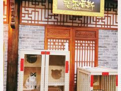 -福尔喵斯探案馆实景搜证·沉浸式剧本杀