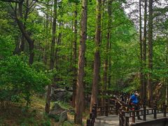 -樱桃沟景区