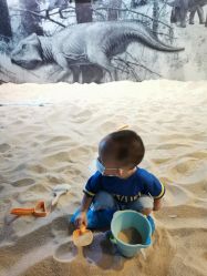 -恐龙探索乐园(磁器口店)