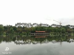 -琴亭湖公园
