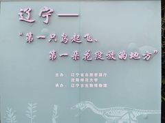 -辽宁古生物博物馆