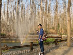 -合肥滨湖国家森林公园