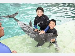 -新加坡水上探险乐园