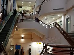 -香港大学