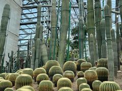 -南山植物园