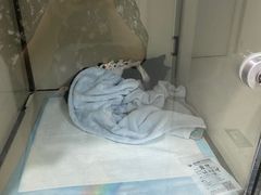 -福州肆爪动物医院