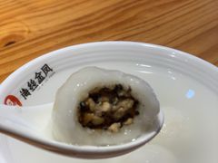 -海丝金凤(金鱼店)
