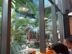 -日出拉面(望京店)