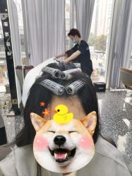 -藤野造型烫染接发