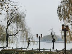-济南大明湖景区