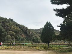 -南泥湾风景区