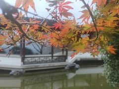 -秋霞圃