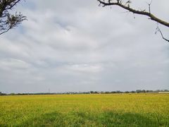 -嘉北郊野公园