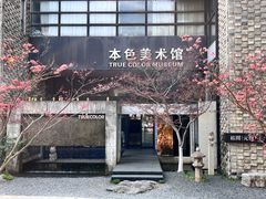 -苏州本色美术馆