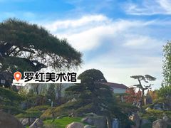 -罗红摄影艺术馆