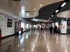 -上海动物园(地铁站)