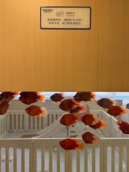 -杭州贝瑞斯美华妇儿医院·早孕·产检·儿科