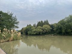 -中国湿地博物馆