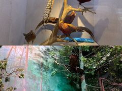 -武汉园博园(武汉自然博物馆)