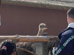 -祥源·阜阳生态乐园