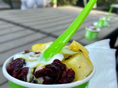 -Salud撒露欧洲冻酸奶(五道口购物中心店)