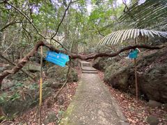 -七仙岭温泉国家森林公园