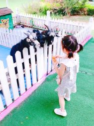 -萌宠亲子动物乐园(槐房万达店)