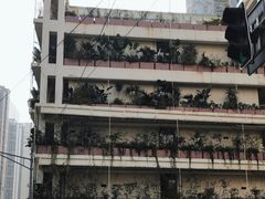 -二号桥脆绍面(星辉中路店)