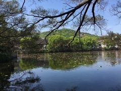 -普陀山风景名胜区-法雨禅寺