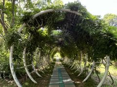-郑州植物园