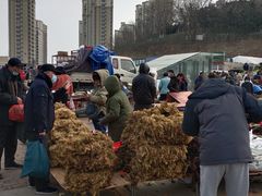-李村大集
