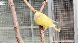 -萌宠亲子动物乐园(槐房万达店)