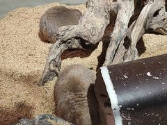 -正佳雨林生态植物园